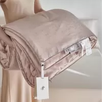 A类80S天丝棉提花100%蚕丝被芯春秋被单双人加厚冬被四季被