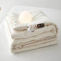A类母婴秋冬被纯棉提花大豆纤维被子被芯二合一子母被春秋被