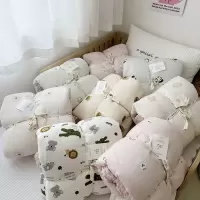 A类纯棉双层纱豆豆绒幼儿园宝宝儿童春秋被小被子单人加厚冬被ins