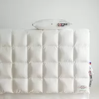 加厚糯棉白鸭绒冬被吊吊鹅绒被匈牙利鹅绒春秋羽绒被
