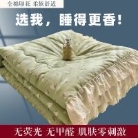 小清新花边印花夏被春秋被床盖三件套夏被四件套被子被芯