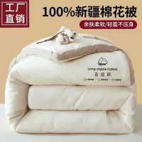 无印风新疆棉花被子被芯单人春秋被加厚冬被棉被四季通用南通