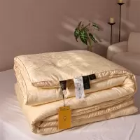 李官奇55%大豆被子母被a类轻奢加厚被子被芯冬被空调被春秋被四季