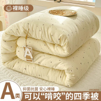 水洗棉被子冬被新款春秋被加厚保暖被芯学生单人被四季通用