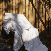 简约双人蚕丝被桑蚕丝春秋被冬被柔感贴身被芯无荧光