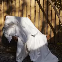 简约双人蚕丝被桑蚕丝春秋被冬被柔感贴身被芯无荧光