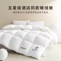 羽丝绒被子被芯加厚保暖防寒家用春秋被冬被四季通用酒店被子民宿