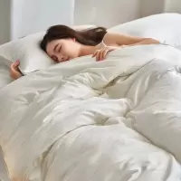 高档A类母婴级单夏被芯全棉春秋被纯棉花被冬被芯床品
