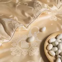 高档酒店同款金蚕丝大豆被贴身柔软不跑被双人美颜被芯送人乔迁