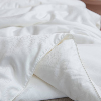 高端双宫桑蚕丝120支长绒棉提花蚕丝被保暖春秋被冬被子母被