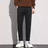 英伦毛呢西裤子男士新款秋冬季潮流宽松直筒保暖休闲西装裤男