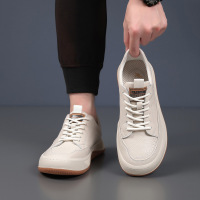 头层牛皮秋季新款男式休闲鞋室外男款百搭男鞋真皮透气芒果鞋鞋子