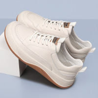 头层牛皮秋季新款男式休闲鞋室外男款百搭男鞋真皮透气芒果鞋鞋子