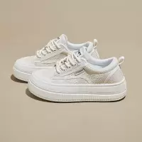 秋季帆布鞋小白鞋新款韩版ins女学生厚底增高休闲鞋板鞋