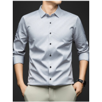 男士长袖无痕衬衫含桑蚕丝高档休闲免烫商务新款衬衣轻奢时尚开衫