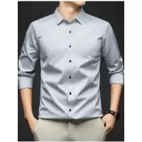 男士长袖无痕衬衫含桑蚕丝高档休闲免烫商务新款衬衣轻奢时尚开衫