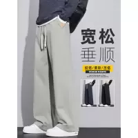 垂感休闲裤子男款秋春新款宽松紧腰直筒显高春秋款运动阔腿裤