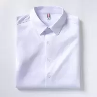 商务长袖衬衫春秋新款男式弹力免烫工装衬衣男士百搭寸衫