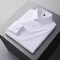 春秋新款含桑蚕丝莫代尔长袖衬衫男士弹力免烫工装衬衣男