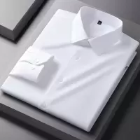 春秋新款长袖衬衫男式含莫代尔桑蚕丝免烫衬衣男士百搭商务寸衫男