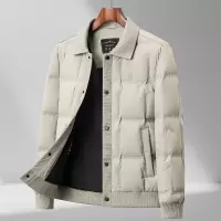 新国标90绒羽绒服男式轻奢翻领轻薄秋羽绒服男青年潮流简约羽绒服