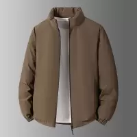 防风立领秋冬短款轻羽绒服男士新国标白鸭绒防寒保暖休闲男羽绒服