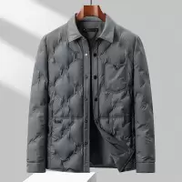 新国标90绒羽绒服男式衬衫领轻薄秋羽绒服男青年潮流简约羽绒外套