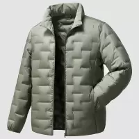 秋冬新款轻薄羽绒服防风立领保暖羽绒男90绒户外休闲通勤羽绒外套