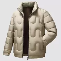 冬装男式轻薄款立领羽绒服外套中青年时尚简约菱形防寒羽绒服男款