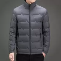 立领轻薄羽绒服秋季新款男士青年潮流羽绒服防寒保暖羽绒外套男装