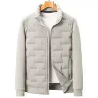 轻薄秋羽绒服青年潮流休闲新国标90鸭绒男士防风立领时尚羽绒外套