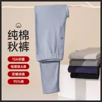 男士舒绒加厚纯棉秋裤男内穿高腰弹力修身打底线裤单件全棉保暖裤