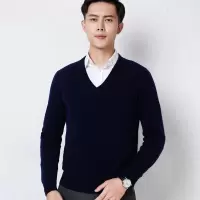 秋冬针织衫V领男套头打底衫休闲商务针织衫宽松时尚纯色长袖毛衣