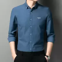 秋季新款棉质男士衬衣男装休闲免烫衬衫韩版翻领长袖衬衫