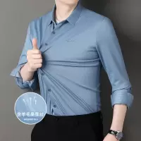 秋季条纹长袖衬衫男式时尚新款简约休闲上衣中年翻领百搭男装衬衣