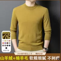 羊毛混防长袖针织毛衣男士秋冬季新款加厚纯色休闲打底羊毛衫