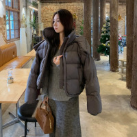 年冬季韩版立领连帽棉服女短款新款宽松加厚保暖面包服外套