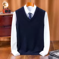 加厚羊毛衫男士背心秋冬季新款V领保暖纯羊毛打底毛衣男