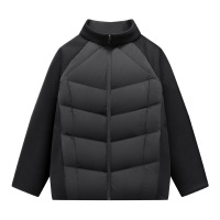 男装秋冬季新款90白鸭绒时尚立领羽绒服轻薄百搭青年男士外套