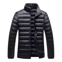 秋冬季新款轻薄羽绒服男立领修身短款白鸭绒保暖休闲男士青年外套