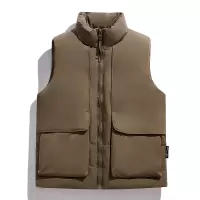 男装秋冬季新款羽绒马甲白鸭绒立领百搭保暖无袖坎肩青年外套