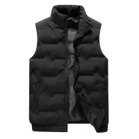 马夹男秋冬季新款纯色保暖坎肩立领百搭无袖背心青年羽绒外套男装