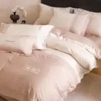 现代轻奢风加厚纯棉磨毛四件套100长绒棉刺绣被套感床品