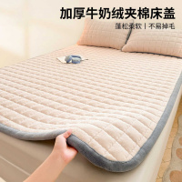 A类牛奶绒床盖单件冬季加厚珊瑚绒榻榻米夹棉床单加绒炕盖三件套