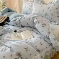 公主风a纯棉b牛奶绒四件套全棉小碎花少女心花边加厚保暖被套床品