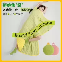 抱枕被两用抱枕毯子二合一车载抱枕车用被子两用空调被夏被薄被子