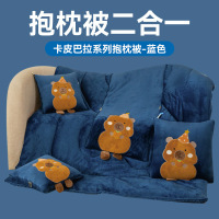 新款加厚牛奶绒卡皮巴拉抱枕被 暖暖乎乎 云朵般靠垫被 绵柔