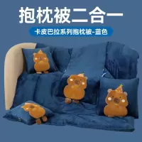 新款加厚牛奶绒卡皮巴拉抱枕被 暖暖乎乎 云朵般靠垫被 绵柔