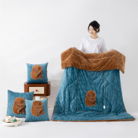 新款牛奶绒多功能抱枕被围巾豚系列 长毛绒 加厚毛绒玩偶