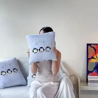 新款牛奶绒彩虹糖卡通刺绣两用车载可收纳抱枕被办公午睡靠垫